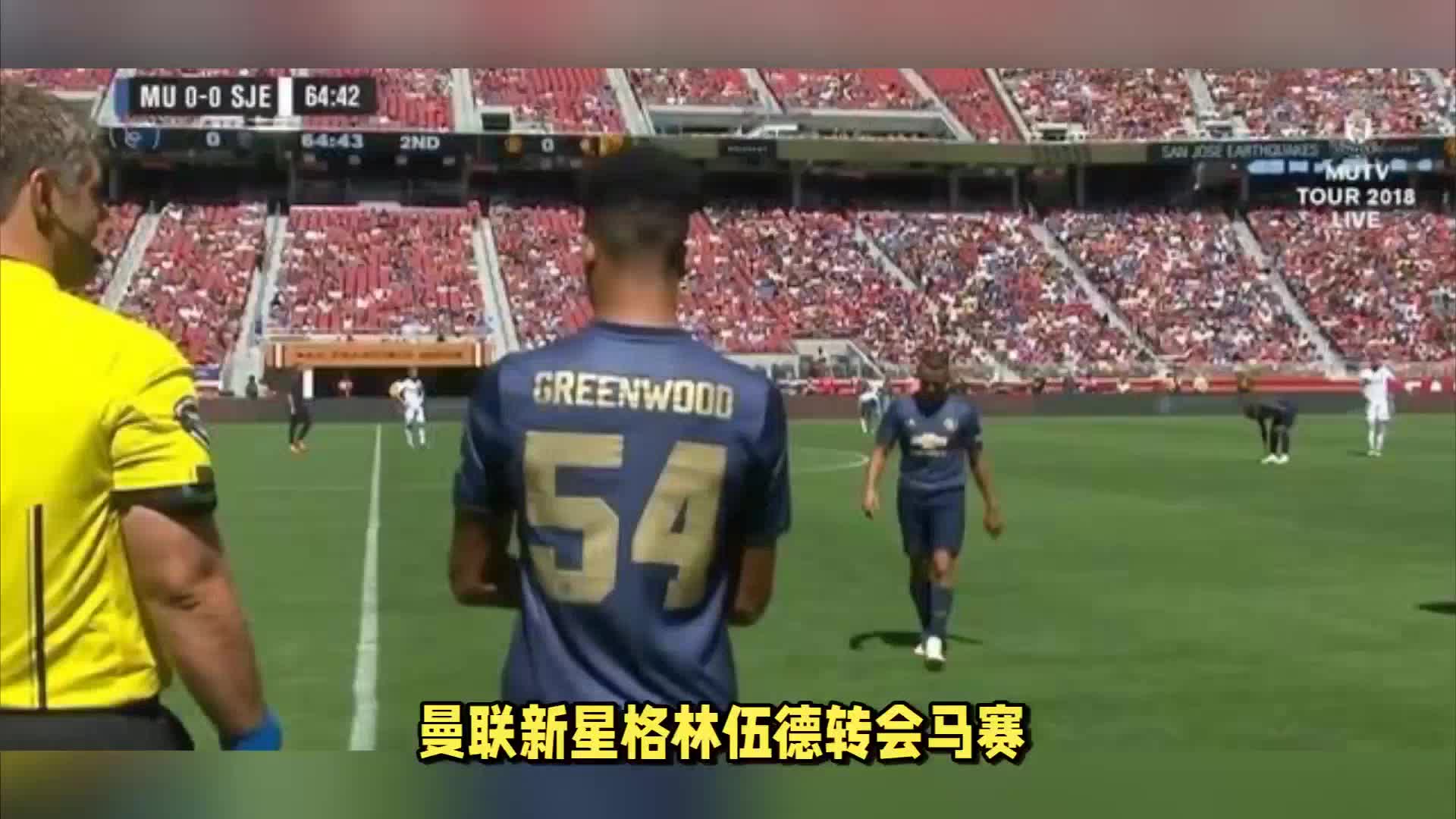 男篮教